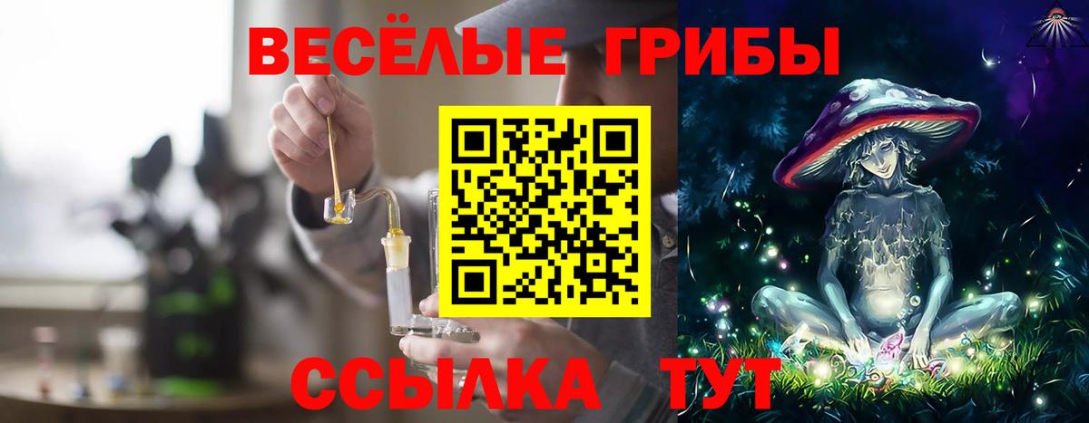 Псилоцибиновые грибы GOLDEN TEACHER  Галлюциногенные грибы GOLDEN TEACHER  продажа наркотиков  Мариинск  Вход с VPN 